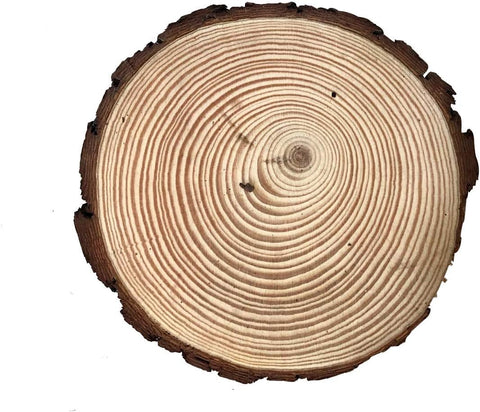 6 Pack Round Rustic Woods Slices, 7"-8,Great for Weddings Centerpieces, Crafts(A Little Cracked or Bark Off) - Elegant Wedding Accents