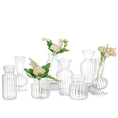 Set of Modern Glass Bud Vases