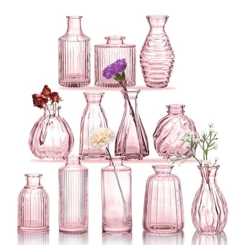 Glass Bud Vase Set
