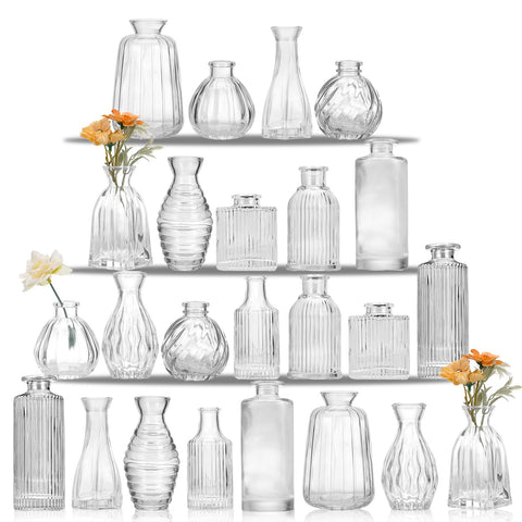 Glass Bud Vase Set