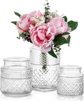 (Set of 3) Vintage Glass Vases for Flowers