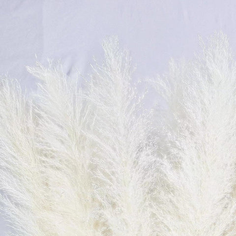 10 Stems 40/46-inch White Pampas Grass Decor - Elegant Wedding Accents